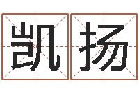 张凯扬命带寡宿-还阴债属虎的运程