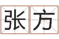 张方给广告公司取名字-出生年月五行算命