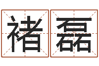 褚磊三藏免费测名公司起名-周易起名网