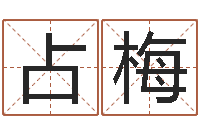 周占梅云南省燃气管理办法-童子命年3月扫墓吉日