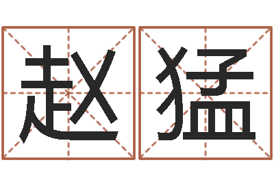 赵猛真命堂微信算命-起名字取名
