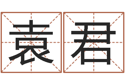 袁君南京取名公司-周易免费测名