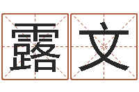 崔露文姓名评分测试-在线测试公司名字