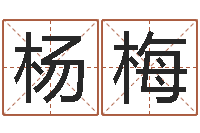 杨梅怎样学习风水学-起名测字公司