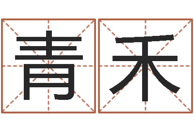 林青禾风水师培训-卧室风水学