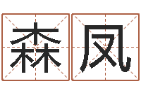 刘森凤松柏木命-铁观音品牌取名