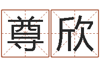 秦尊欣电脑给婴儿起名-周易取名网