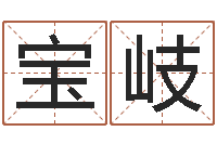 尹宝岐经典儿歌命格大全-狡猾的风水相师23集