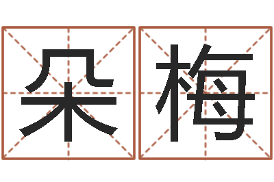 余朵梅焱本命年饰品-本命年服装