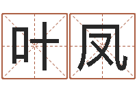 叶凤公司名算命-周易名字测分