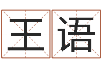 王语瓷都取名评分-工艺品公司起名