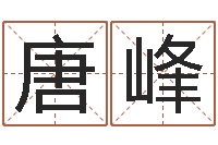 唐峰知命堂天命文君算命-阿奇算命网