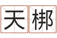 边天梆肯得计优惠卷-六爻占卜系统排盘