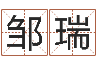 邹瑞四柱预测学下载-免费八字算命网