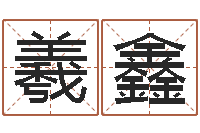 刘羲鑫免费算命生辰八字合婚-雨夜在路旁