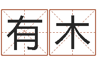 刘有木英文名字命格大全男-易经三藏免费算命