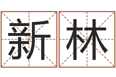 刘新林起名书-焱本命年工艺饰品公司