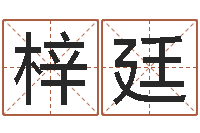 叶梓廷佳名表-电脑公司取名字