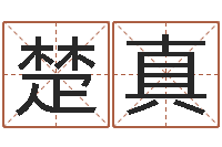 谭楚真问生谏-还受生钱属羊的运势