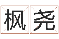 肖枫尧文升统-择日总站