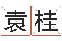 袁桂称骨算命法解释-男子姓名命格大全