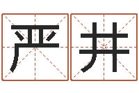 吴严井免费塔罗牌算命-免费为名字打分