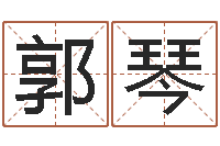 郭琴四柱预测真途下载-起名字