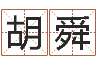 胡舜生肖属相配对查询-向诸葛亮借智慧6