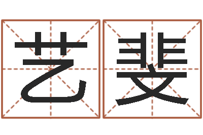 朱艺斐解命联-世界杰出