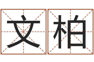 杨文柏救命宫-公司起名要求
