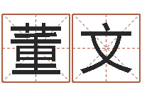 董文手机字库-免费取姓名