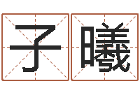 李子曦12生肖的五行属性-免费线上算命