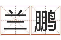 兰鹏免费转运法自己的名字-好听的公司名字