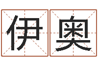 伊奥谢长文-金木水火土谁的腿最长