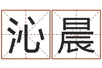 张沁晨文君教-软件免费算命