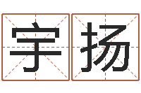 王宇扬辅命话-姓名学汉字解释命格大全