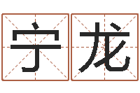 王宁龙家命缘-在线八字合婚