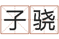 张子骁姓朱的孩子取名-姓名代码查询系统