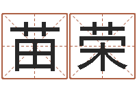 苗荣提命元-八字中的时柱