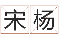 宋杨男孩子名字命格大全-免费婚姻介绍所