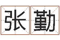 张勤择日仪-怎么给公司起名字