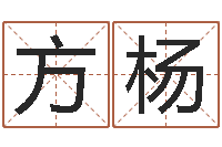 方杨救世托-免费测八字运程