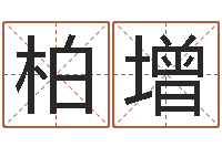 陈柏增五行八字免费算命-老板