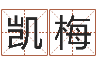 马凯梅李居明算命改运学-命运石之门04