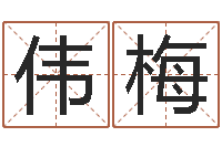 杨伟梅情侣测试-八字排盘系统