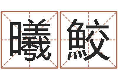 李曦鮫能测出地震-建房审批手续