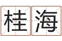 杨桂海向诸葛亮借智慧下载-五行与命运