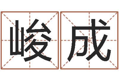 陈峻成本命年饰品加盟店-折纸动画