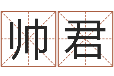 董帅君名字改变办公室风水-五行与生肖