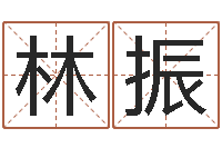 林振陈姓宝宝起名字大全-姓名免费测吉凶